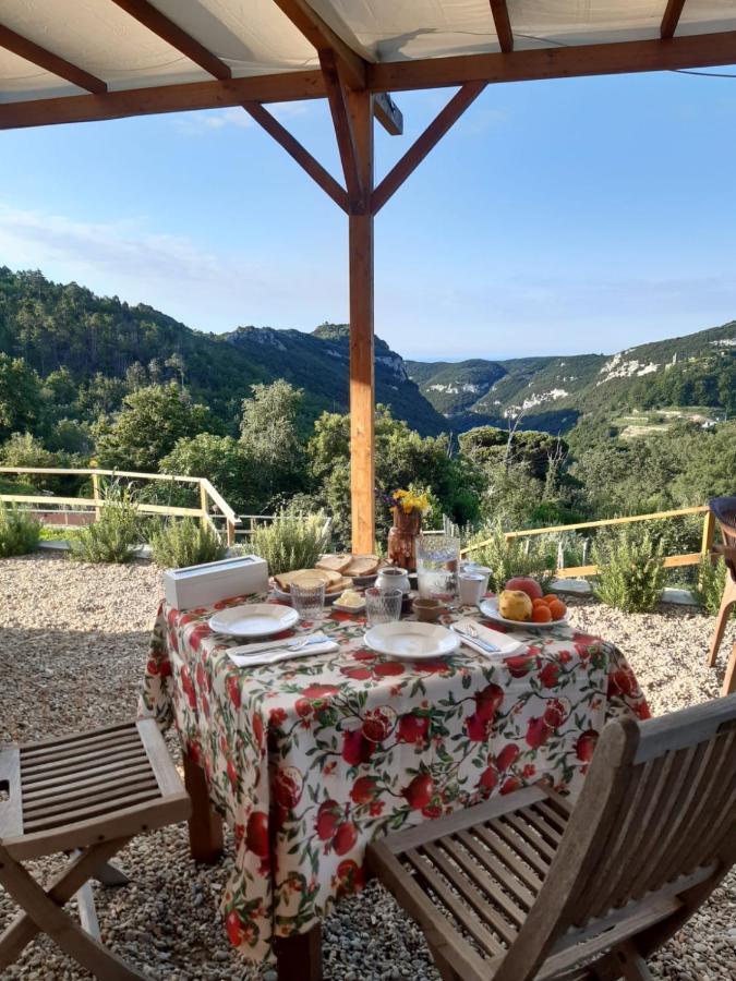 Zenestrin Farm stay