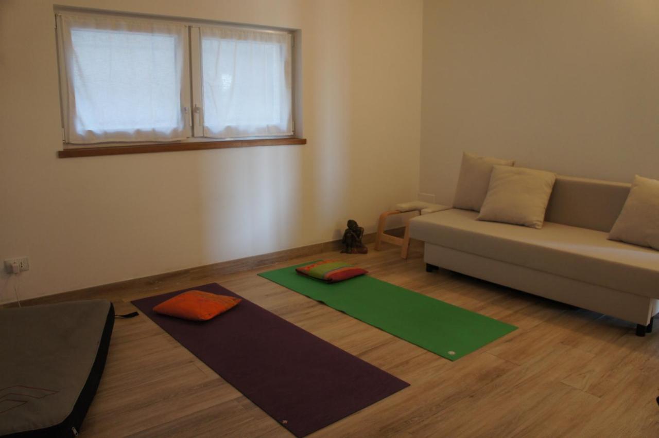 Zenestrin Farm stay