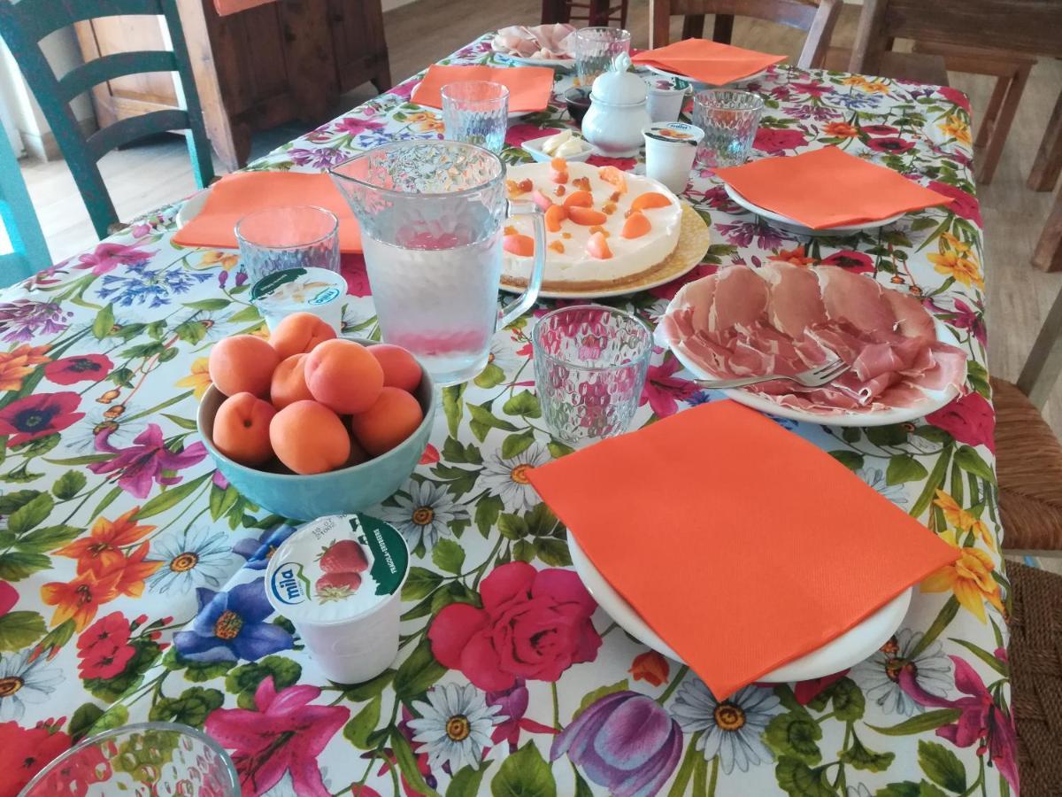 Farm stay Zenestrin
