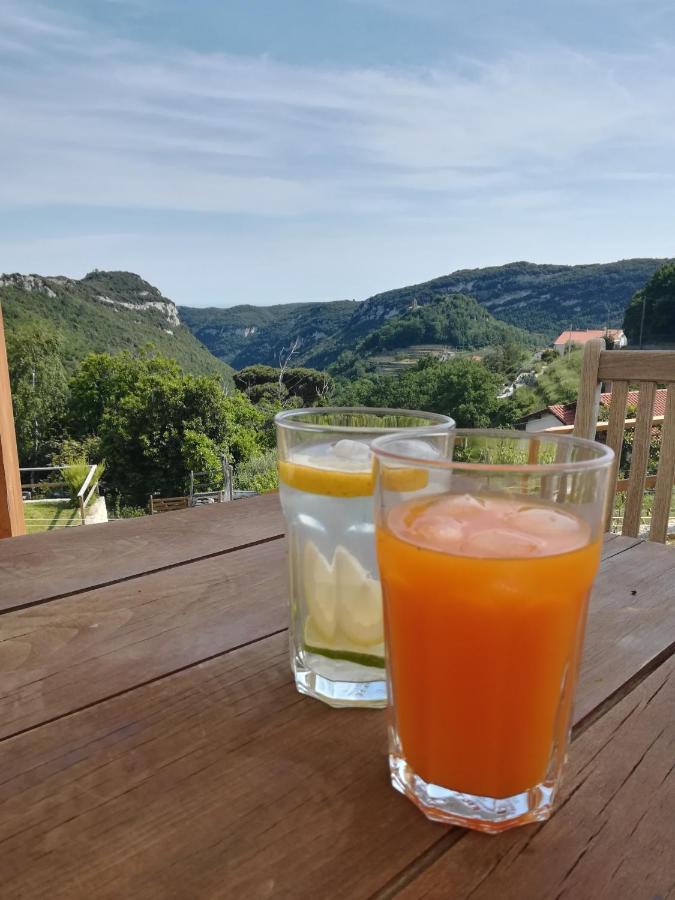 Zenestrin Farm stay